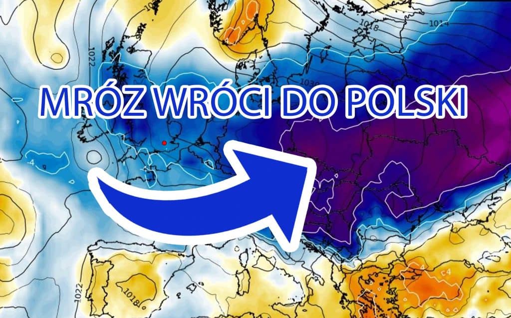 Mróz wróci do Polski w marcu