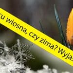 Wiosna, czy zima. Czas wyjaśnić jaka pogoda do końca marca