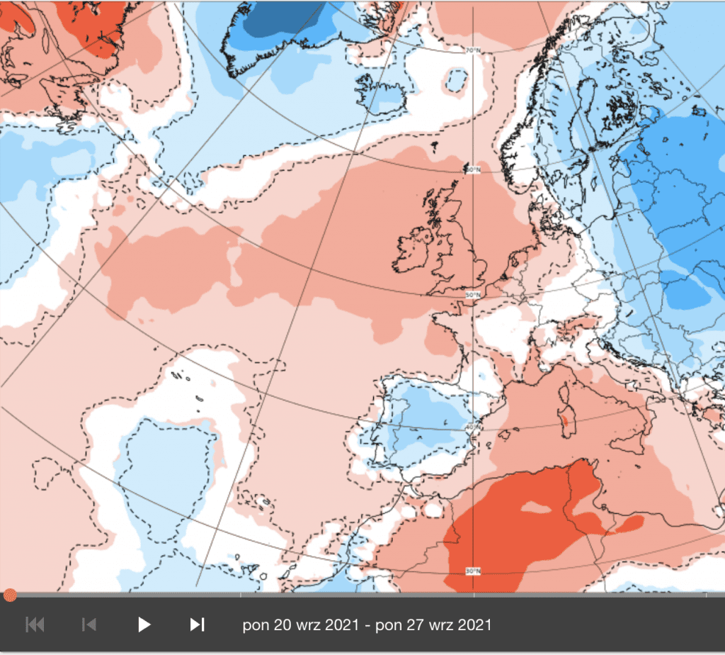 ECMWF i chłód