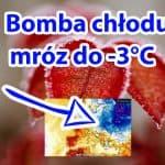 Bomba chłody i przymrozki w Europie
