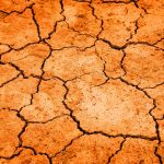 Upał na Świecie. Padają rekordy temperatury