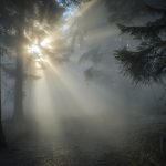 Pogoda na poniedziałek 15 listopada