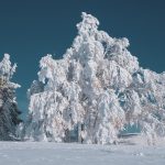 śnieg w polsce