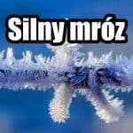 Mróz nocami będzie silny