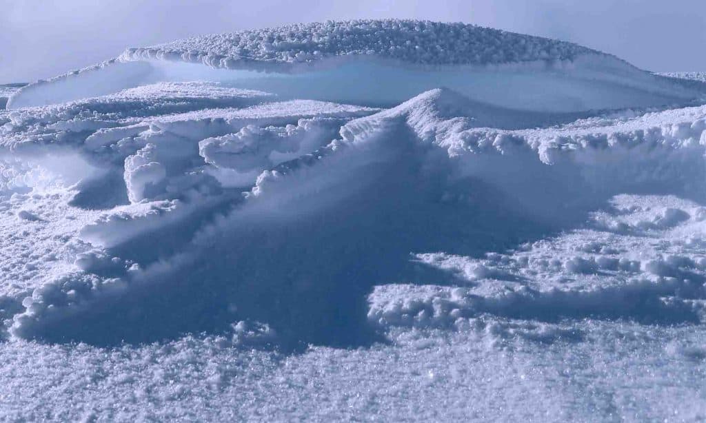 Śnieżyca najsilniejsza w historii. Spadło 560 cm śniegu