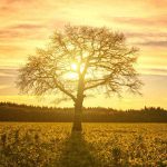 Wysokie ciśnienie atmosferyczne w piątek 11 marca nad Polską