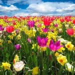 Temperatura w środę 23 marca. Prognoza pogody