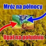 Mróz na północy, upał na południu. Walka zimy z latem w USA