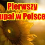Pierwszy w 2022 upał w Polsce