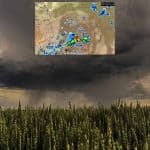Pogoda na czwartek 16 czerwca. Burze pojawią się w kraju