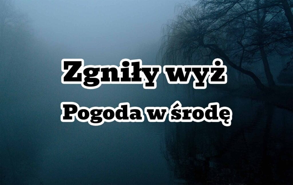Pogoda w środę dla Polski. Zgniły wyż. Mgły w Polsce