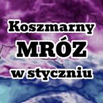 Mróz w styczniu. Czy niskie temperatury i zima wrócą do Polski?