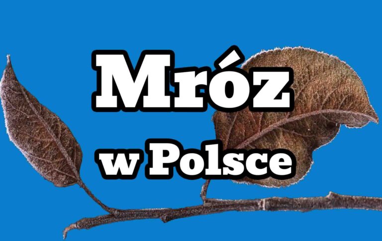 Mróz w Polsce. Straty w sadach i w rolnictwie