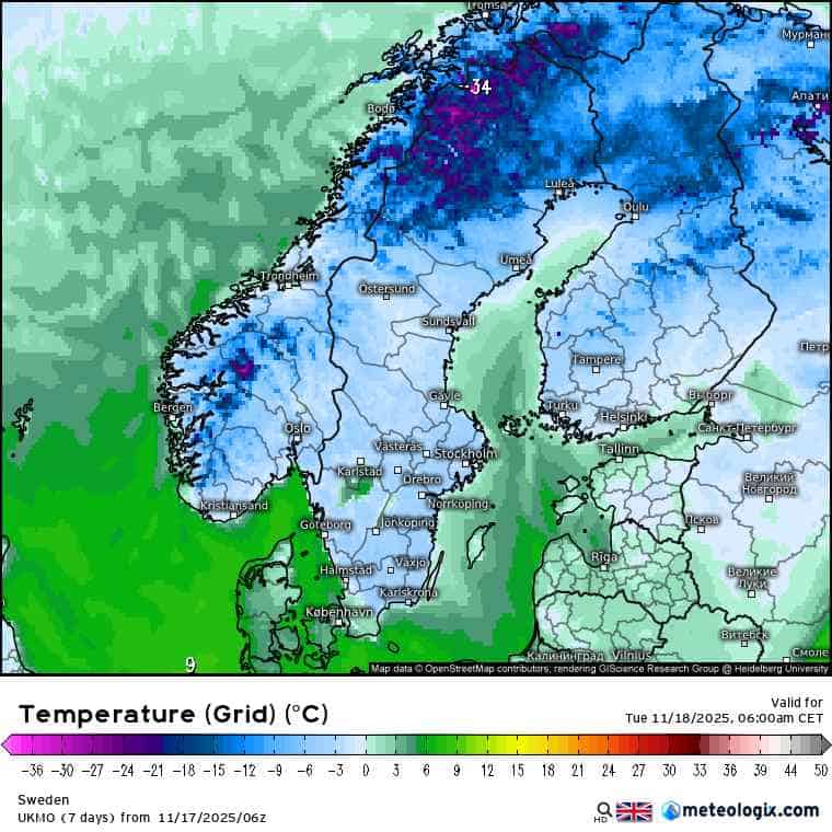 mróz tęgi w Europie Północnej
