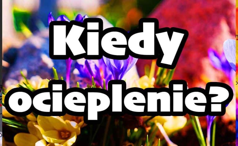 Potężne ocieplenie. Kiedy temperatury wzrosną w Polsce? Upał na południu