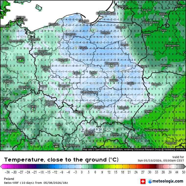 silny mróz zaszkodzi roślinom w Polsce