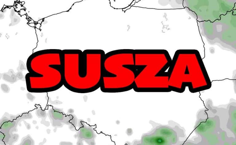 Susza. Brak opadów i bardzo wysokie temperatury