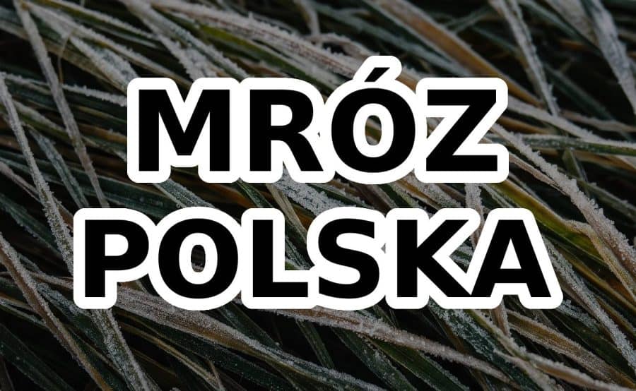 Mróz w Polsce w listopadzie. Kiedy nadciągnie ochłodzenie