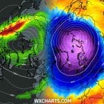 wir polarny i nowa prognoza