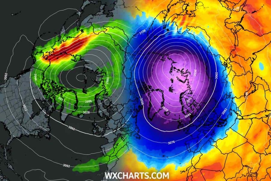 wir polarny i nowa prognoza